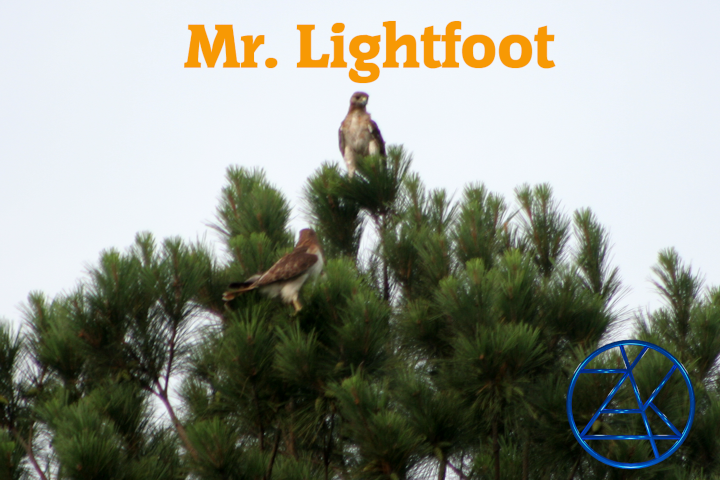 Mr. Lightfoot